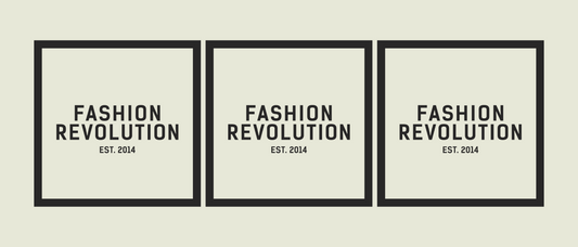 How I Became a Fashion Revolutionary