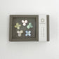 Cohana boxed shell flower push pins in pastel colours